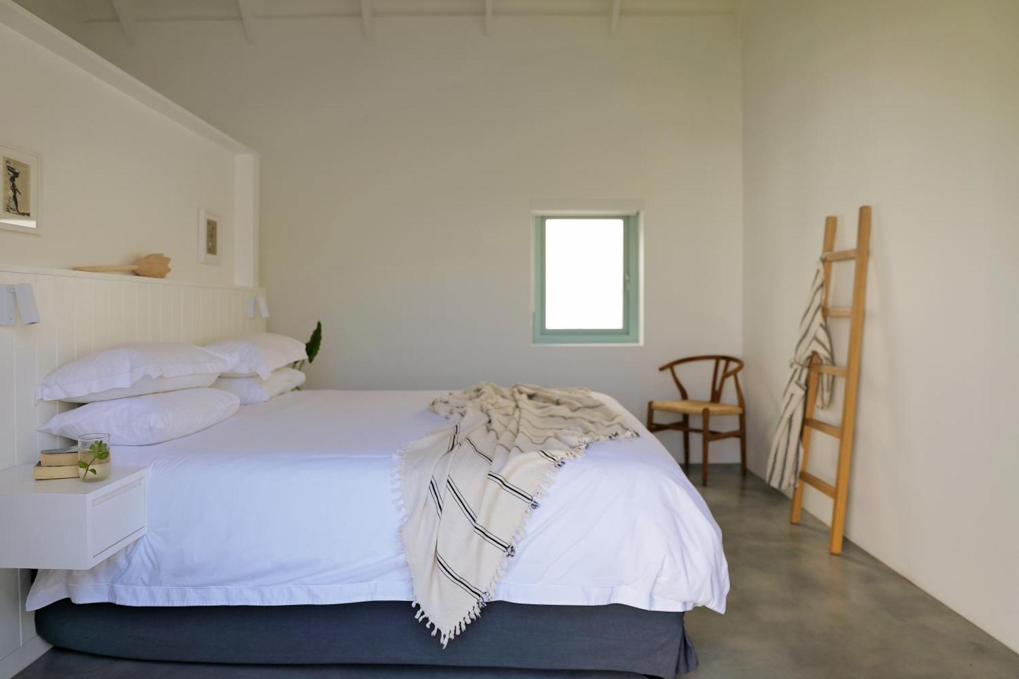 The Collection Paternoster